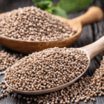 czy kasza gryczana jest dobra na odchudzanie?