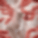 wpływ stanu zapalnego na lipolizę: co musisz wiedzieć