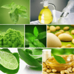 rola ekstraktów roślinnych w lipolizie