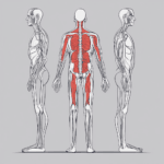 wpływ postawy ciała na proces jedzenia