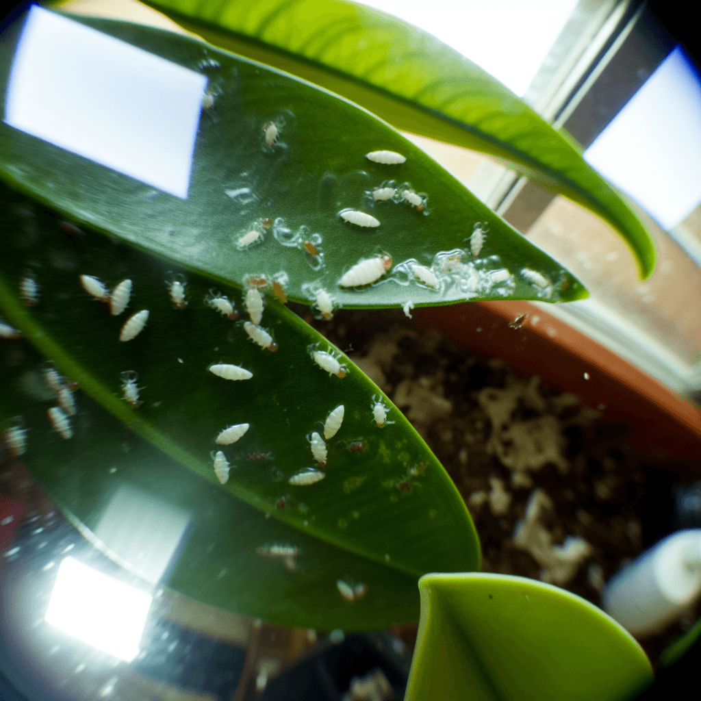 Evidence 1775379736 2 26912 1775379738